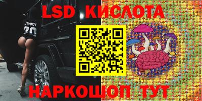 прущие грибы Обнинск