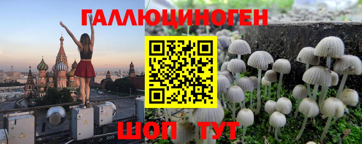 Ступино  Галлюциногенные грибы MAGIC MUSHROOMS  Вход с VPN 